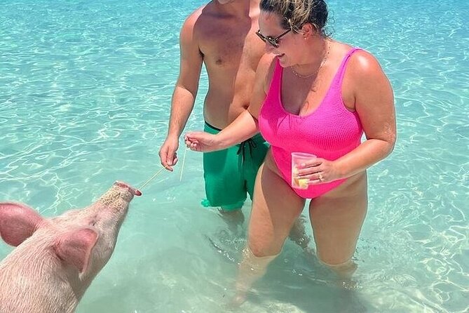 All Inclusive Pig Encounter, Snorkeling, Turtles, Lunch & Beach - What lunch and drinks really add to the price