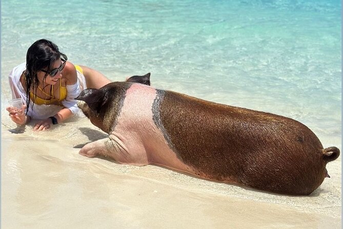 All Inclusive Pig Encounter, Snorkeling, Turtles, Lunch & Beach - Is $149 good value?