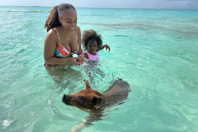 All Inclusive Pig Encounter, Snorkeling, Turtles, Lunch & Beach - Who will enjoy this Rose Island outing?