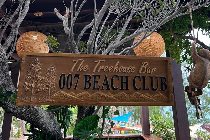 All Inclusive Pig Encounter, Snorkeling, Turtles, Lunch & Beach - Rose Island Reef: a short snorkeling window