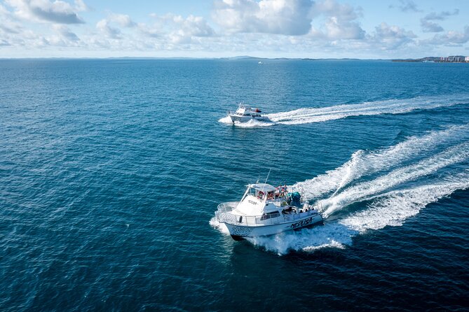 All Inclusive Snorkel and Slide Boat Tour: Icacos or Vieques - What Happens at the Snorkeling Stop