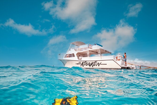 All Inclusive Snorkel and Slide Boat Tour: Icacos or Vieques - Marine Life and the Limits of a Group Tour