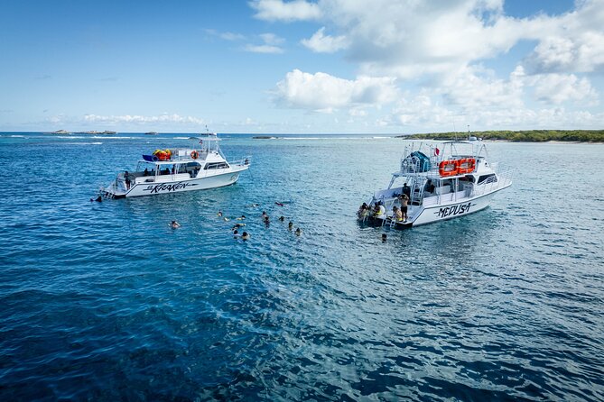 All Inclusive Snorkel and Slide Boat Tour: Icacos or Vieques - How the Tour Compares With a Private Charter