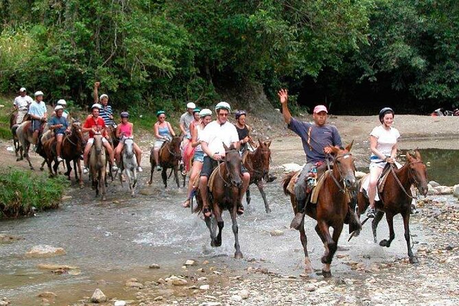 Amazing 3-Hour Horseback Riding at Puerto Plata with Pickup - From Puerto Plata to the horse ranch