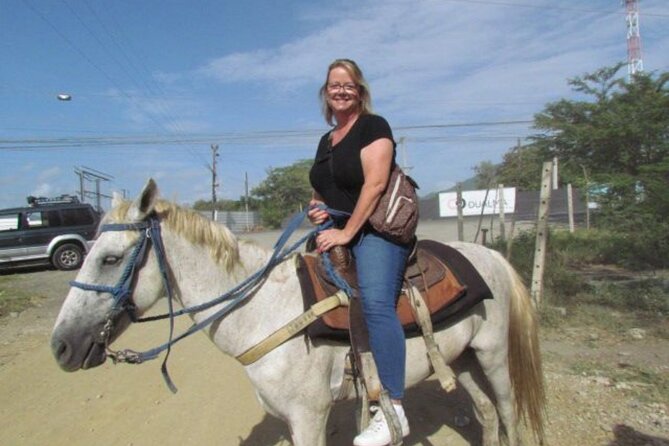 Amazing 3-Hour Horseback Riding at Puerto Plata with Pickup - Reaching Bergantin Beach on horseback