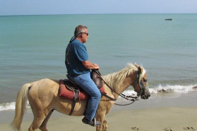 Amazing 3-Hour Horseback Riding at Puerto Plata with Pickup - How long are you really riding?