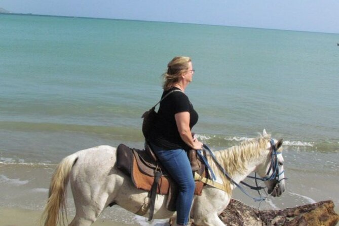 Amazing 3-Hour Horseback Riding at Puerto Plata with Pickup - The value of $74.10 per person