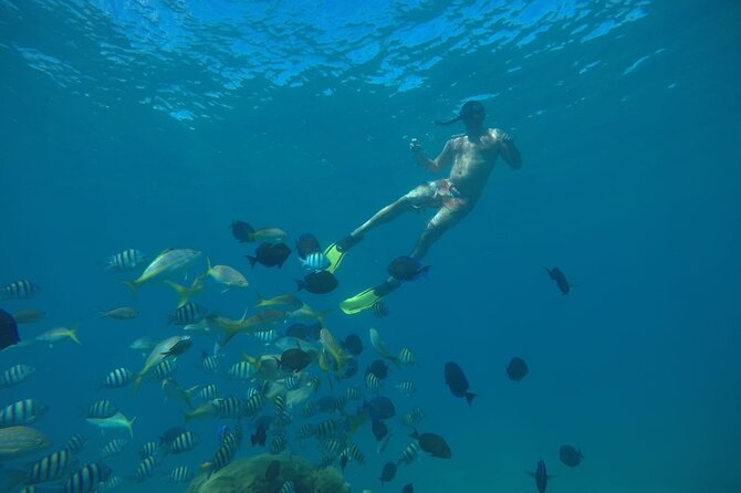 Amazing Paradise Island + Snorkeling-Mangrove Tour & Locale Food. - Snorkeling in clear water