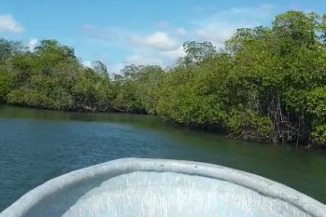 Amazing Paradise Island + Snorkeling-Mangrove Tour & Locale Food. - Estero Hondo mangroves by boat