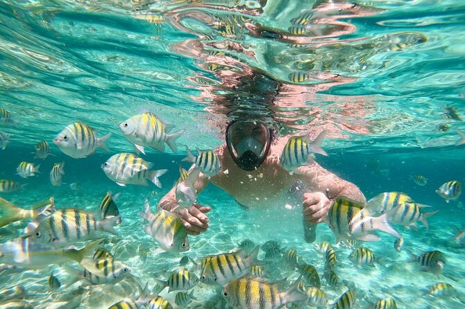 Amazing Paradise Island + Snorkeling-Mangrove Tour & Locale Food. - A short look at Estero Hondo village life