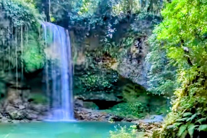 AMBER COVE-TAINO BAY 5 Zip Lines 7 Waterfalls + Locale Food - The uphill route to the zip lines