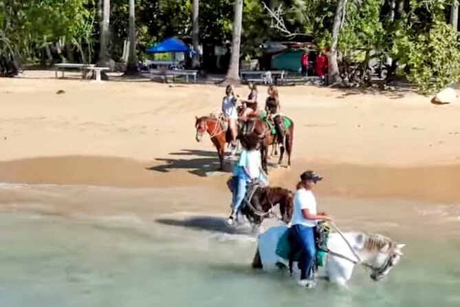 AMBER COVE-TAINO BAY Horses Beach Ride & City Sightseeing - Key details to know before booking