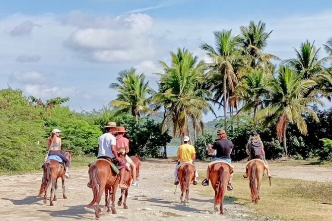 AMBER COVE-TAINO BAY Horses Beach Ride & City Sightseeing - Chocolate, fruit, and hot chocolate at Choc Lovers DR