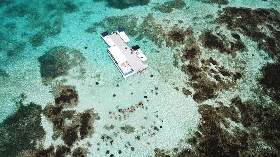 Antigua: Stingray City Experience with Round-Trip Transfer - Should you book Stingray City Antigua?