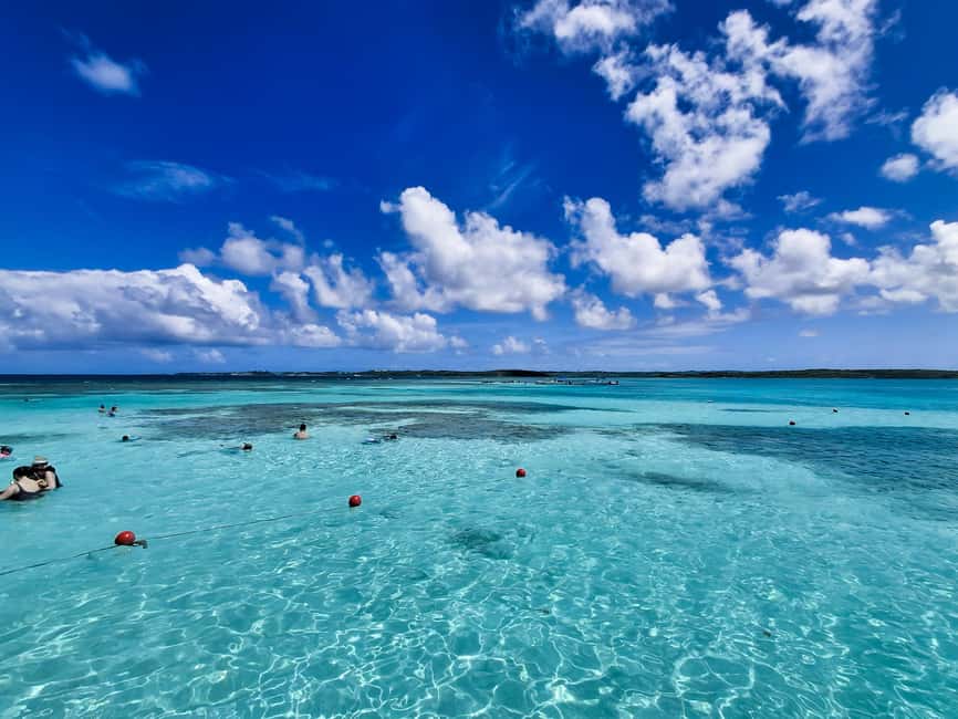 Antigua: Stingray City Experience with Round-Trip Transfer - Meeting the stingrays in open water