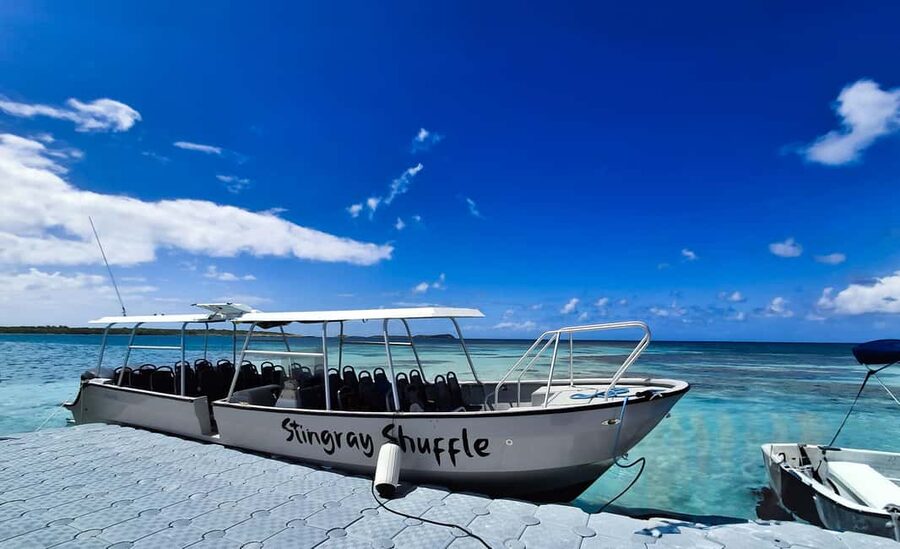 Antigua: Stingray City Experience with Round-Trip Transfer - Who will enjoy this most?