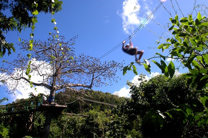 Antigua Zipline Canopy Adventure from St John’s - From Redcliffe Quay to the Antigua Rainforest