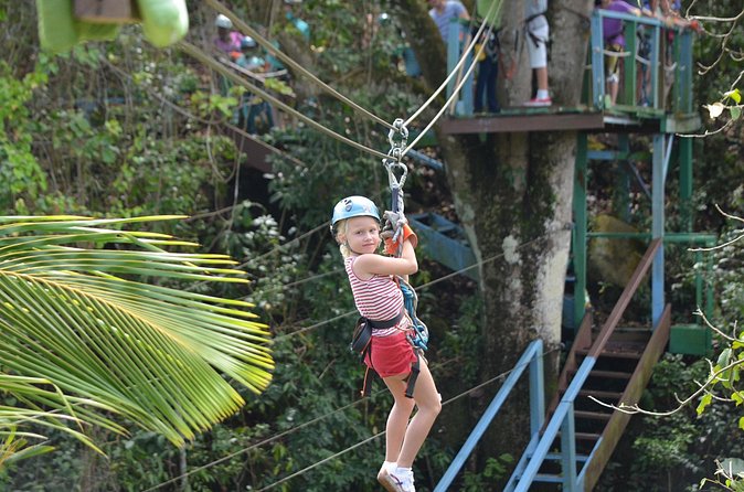 Antigua Zipline Canopy Adventure from St John’s - Rope Obstacles and Two Suspension Bridges