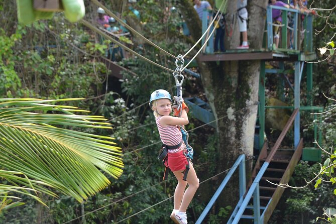 Antigua Zipline Canopy Adventure from St John’s - Forest Sounds, Mossy Rocks, and a Tree House