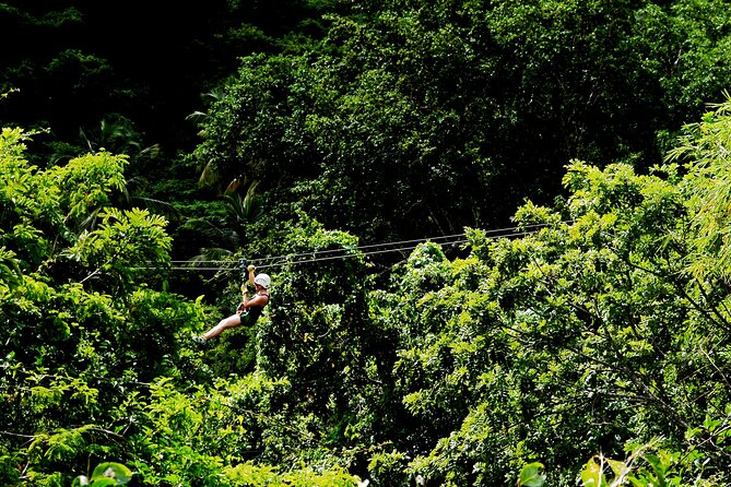 Antigua Zipline Canopy Adventure from St John’s - The Walk Out of the Gully