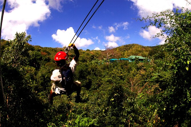 Antigua Zipline Canopy Adventure from St John’s - What Is Included for $110?