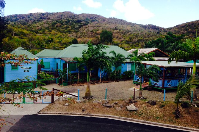 Antigua Zipline Canopy Adventure from St John’s - Who Will Enjoy This Most?