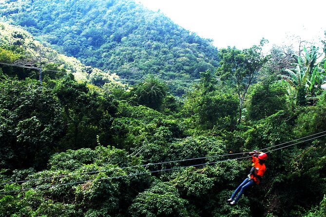 Antigua Zipline Canopy Adventure from St John’s - Thirteen Lines Through Trees and Gorges