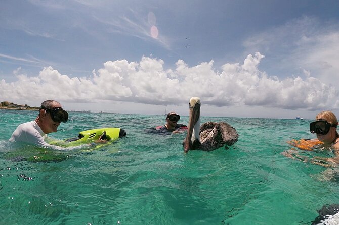 Antilla Shipwreck Seabob Tour - Ending at Arashi Beach