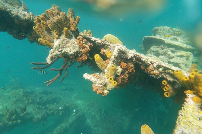 Antilla Shipwreck Seabob Tour - Who Will Enjoy This Most