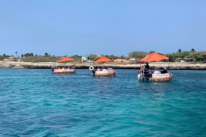 Aqua Donut Private Boat - Malmok Beach: Shallow Water and Snorkeling