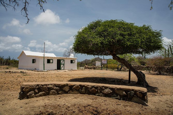 Arikok Adventurous Hiking Experience in Aruba - Historical stops add depth to the hike