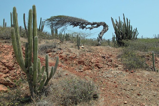 Arikok Adventurous Hiking Experience in Aruba - How much value do you get for $57?