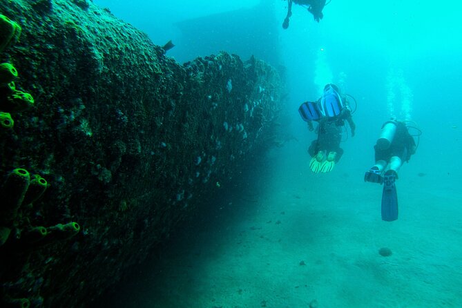 Aruba 2-Tank Dive Excursion for Certified Divers - What the morning looks like at Bucutiweg 20