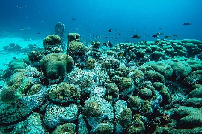 Aruba 2-Tank Dive Excursion for Certified Divers - Is $99 a fair price?