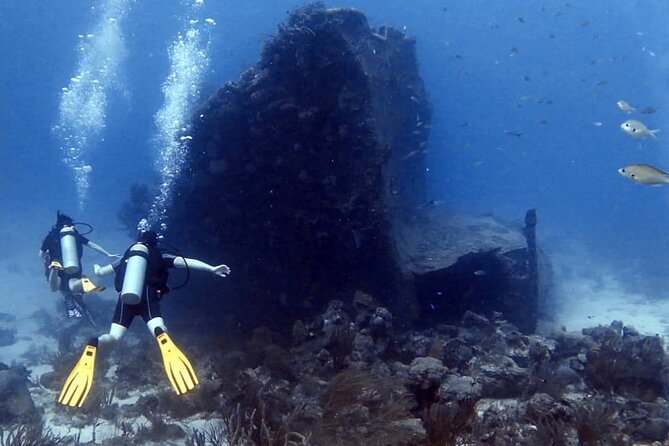 Aruba 2-Tank Dive Excursion for Certified Divers - Aruba’s wrecks, reefs, and possible sites