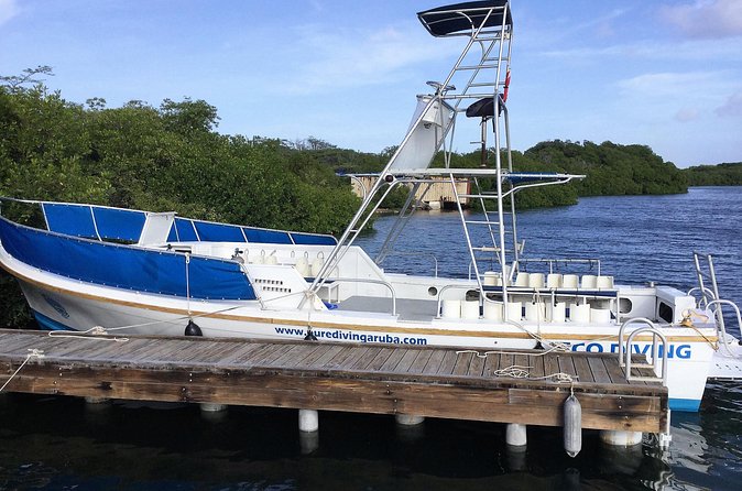 Aruba 2-Tank guided Dive for certified divers / own equipment - Is $109 a fair price?