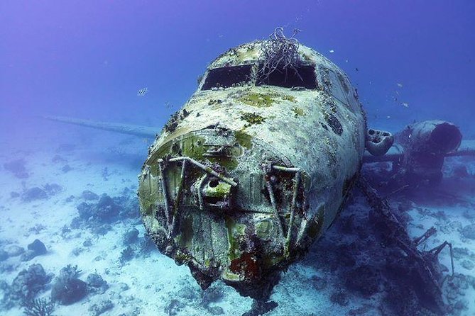 Aruba 2-Tank guided Dive for certified divers / own equipment - Coral reefs, wrecks, and the marine life to watch for