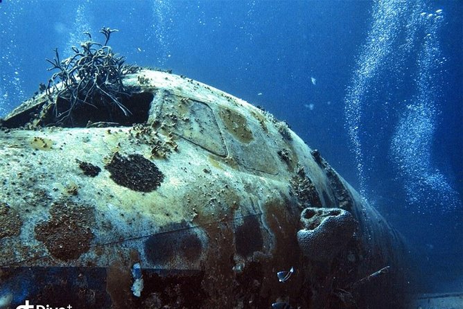 Aruba 2-Tank Guided Dive for Certified Divers / rental equipment - Is $144 a fair price?
