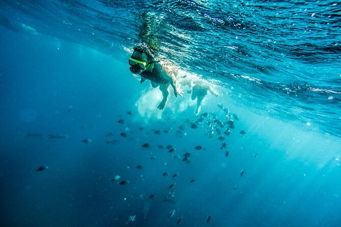 Aruba Afternoon Snorkel Sail aboard Palm Pleasure Catamaran - Why the SS Antilla makes this sail special