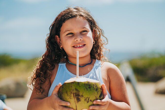 Aruba Baby Beach Express Tour - What the $55 fare really covers