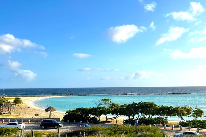 Aruba Baby Beach Express Tour - A quick, friendly stop at Donkey Sanctuary Aruba