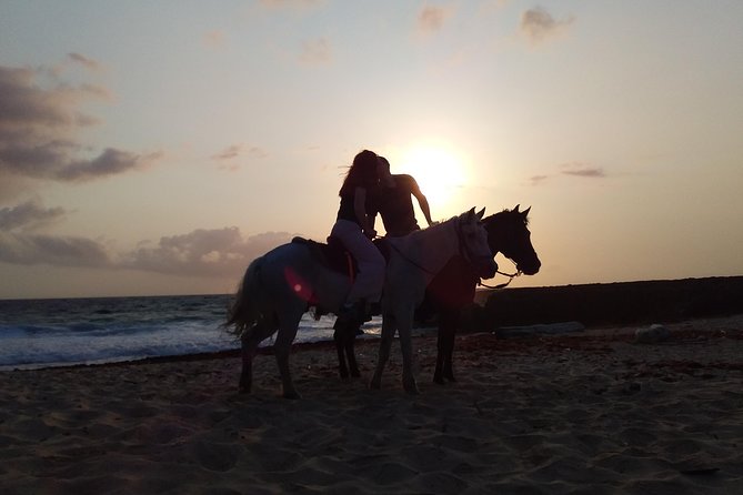 Aruba Beach Ecological Horseback Ride - Reaching Urirama Beach Cove