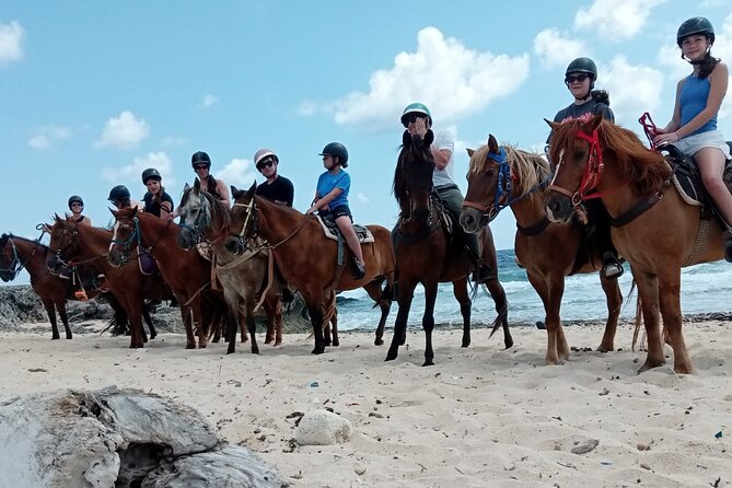 Aruba Beach Ecological Horseback Ride - A calm pace, with a few honest limitations