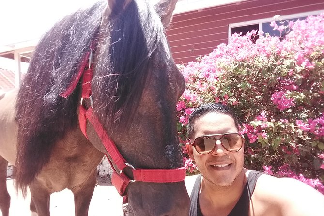 Aruba Beach Ecological Horseback Ride - Matching the ride to your group