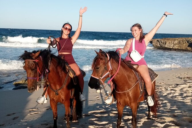 Aruba Beach Ecological Horseback Ride - Practical booking advice for a smoother ride