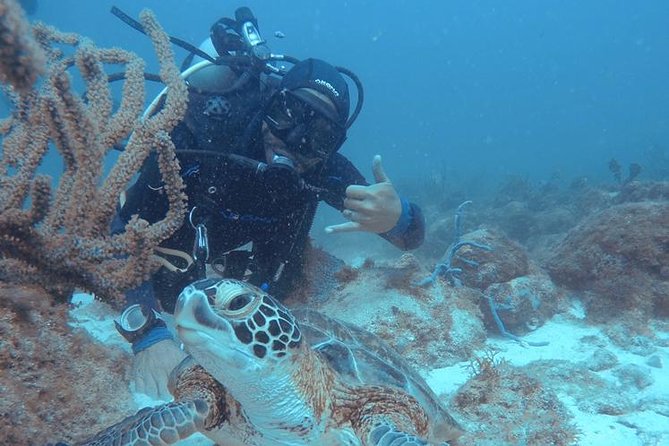Aruba Certified Scuba Diving - Small groups and personal instruction