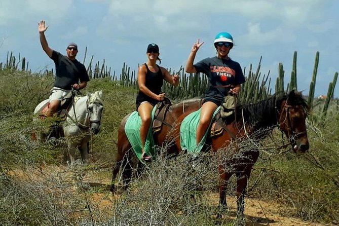Aruba Countryside: Horseback Adventure to Urirama Cove - From the hotel or port to the Boroncana ranch