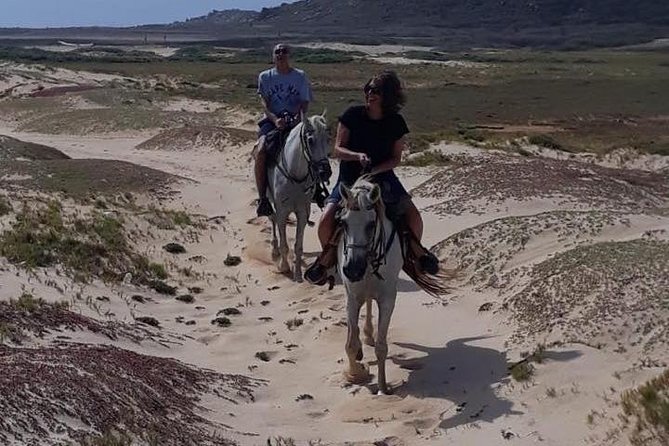 Aruba Countryside: Horseback Adventure to Urirama Cove - Who will enjoy this ride most?