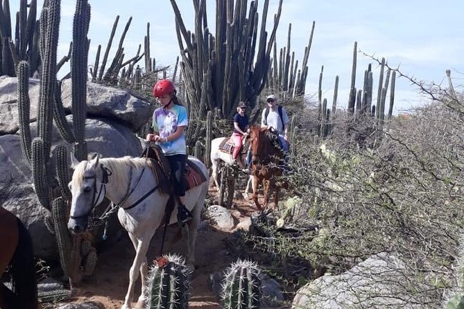 Aruba Countryside: Horseback Adventure to Urirama Cove - What to wear and bring