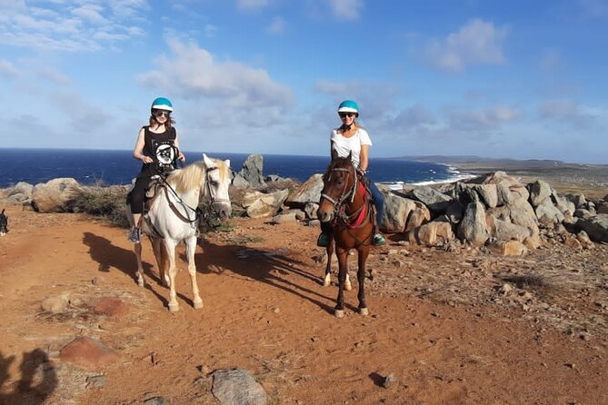 Aruba Countryside: Horseback Adventure to Urirama Cove - Getting mounted and learning the basics